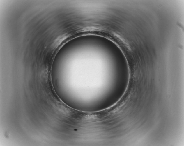 X0000099441313200805091303