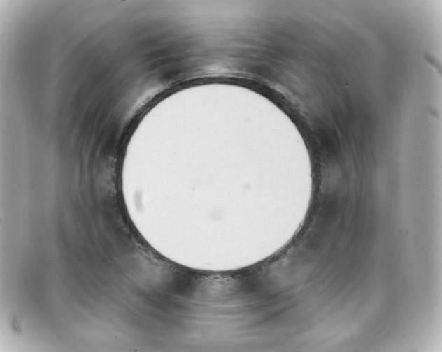 X0000099441314200805091303