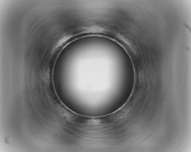 X0000099441315200805091303