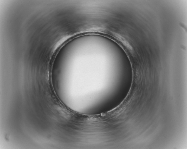X0000099441316200805091303