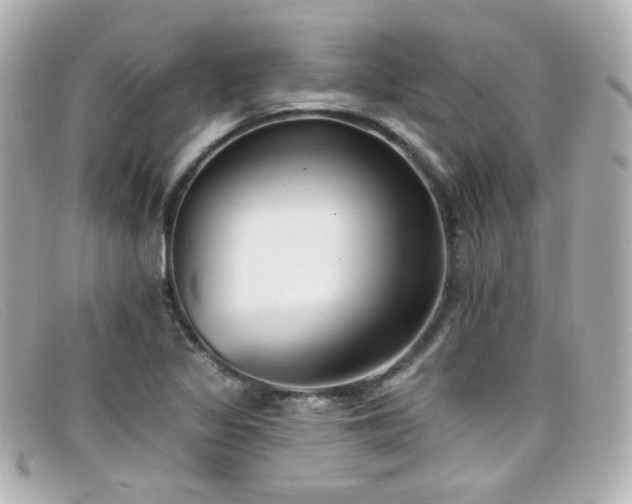 X0000099441317200805091303