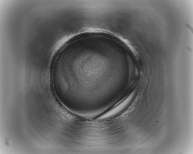 X0000099441319200805091303