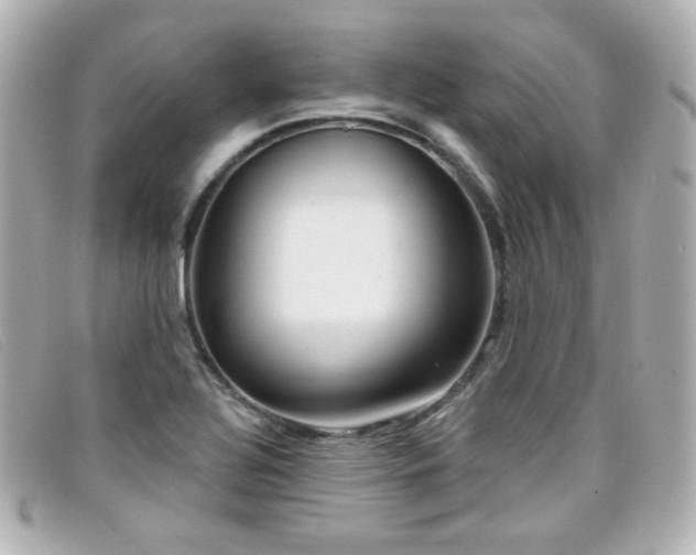 X0000099441320200805091303