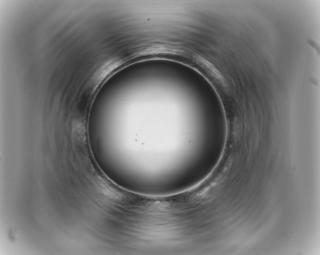 X0000099441321200805091303