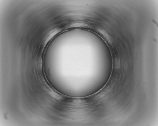 X0000099441322200805091303