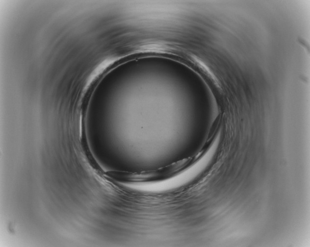 X0000099441323200805091303