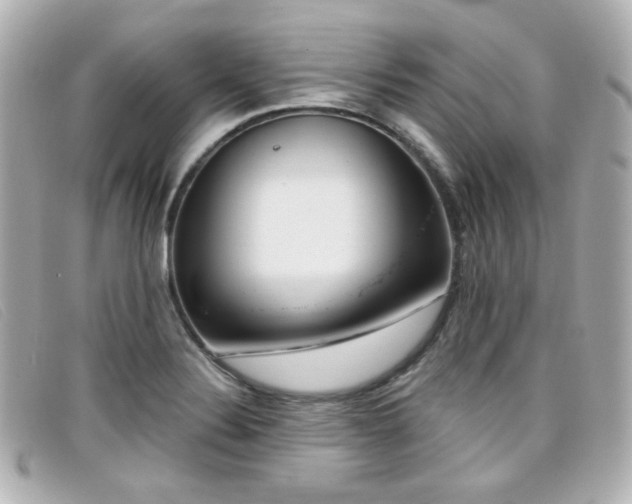 X0000099441324200805091303