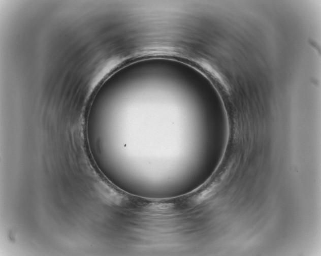X0000099441325200805091304