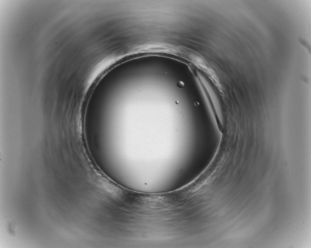 X0000099441328200805091304