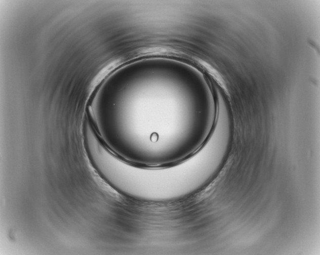 X0000099441330200805091304