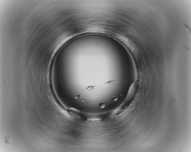 X0000099441331200805091304