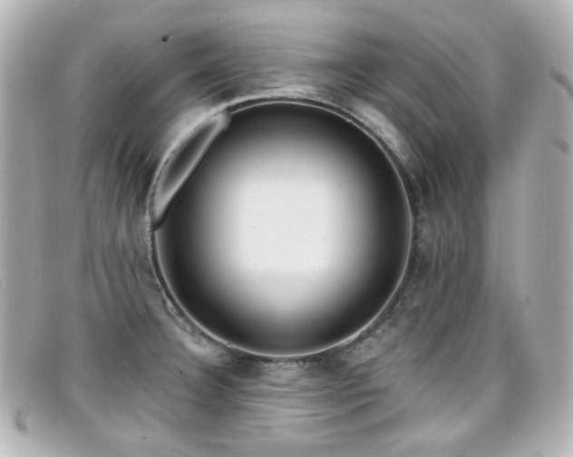X0000099441332200805091304