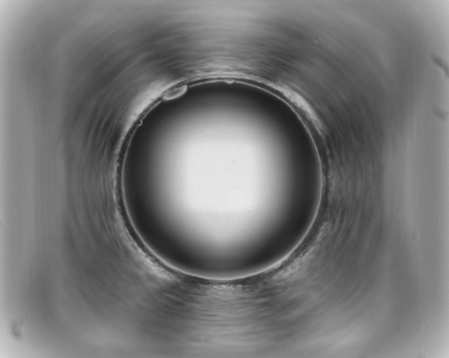 X0000099441333200805091304