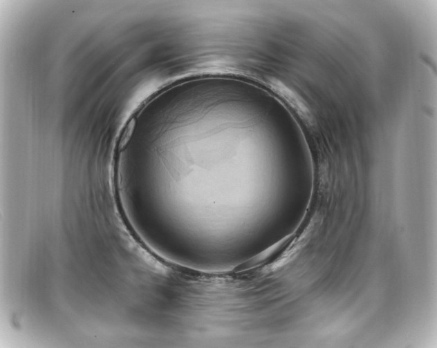 X0000099441334200805091304