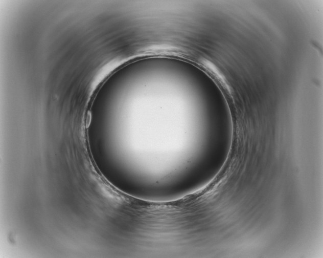 X0000099441336200805091304