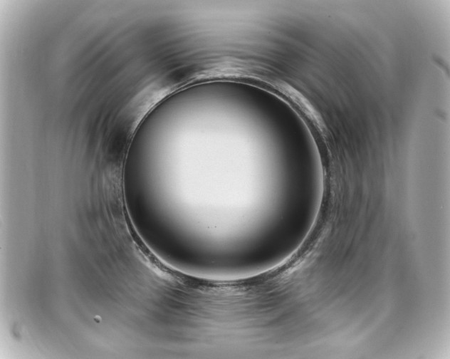 X0000099441337200805091304