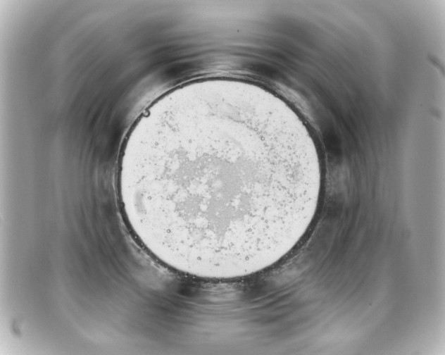 X0000099441338200805091304