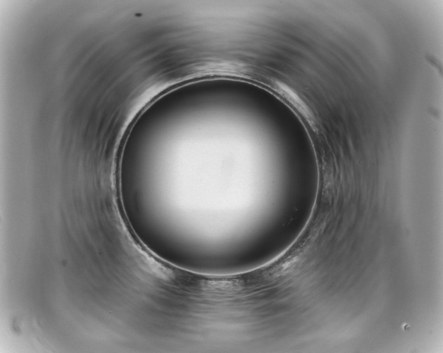 X0000099441339200805091304