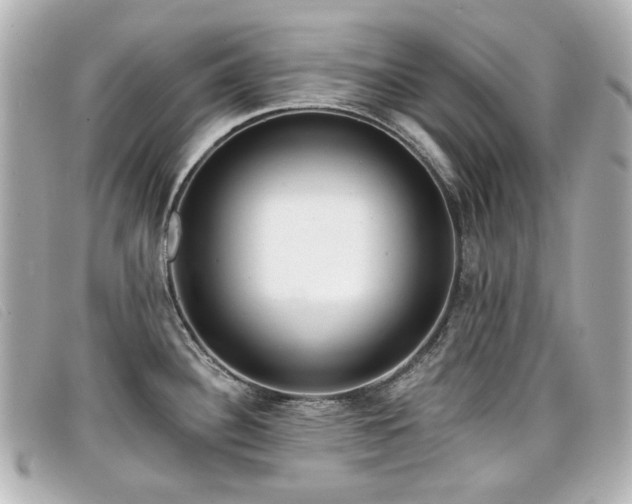 X0000099441340200805091304