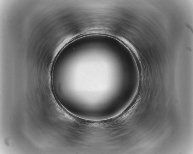 X0000099441341200805091304