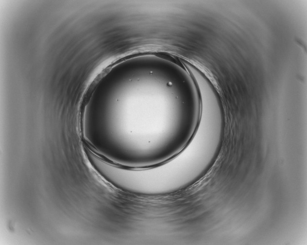 X0000099441342200805091304
