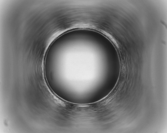 X0000099441343200805091304