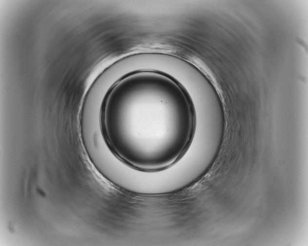 X0000099441344200805091304