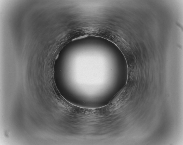 X0000099441345200805091303