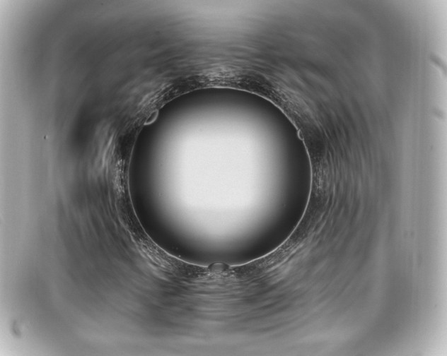 X0000099441346200805091303