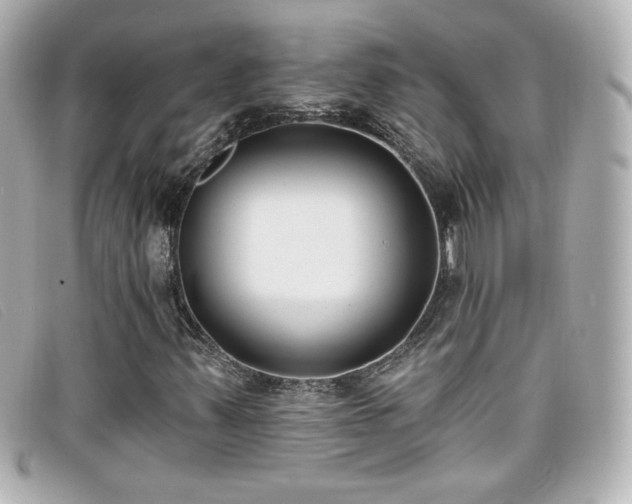 X0000099441347200805091303