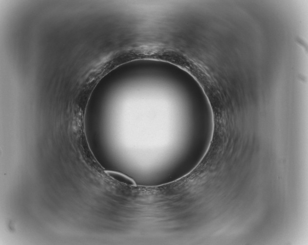 X0000099441349200805091303