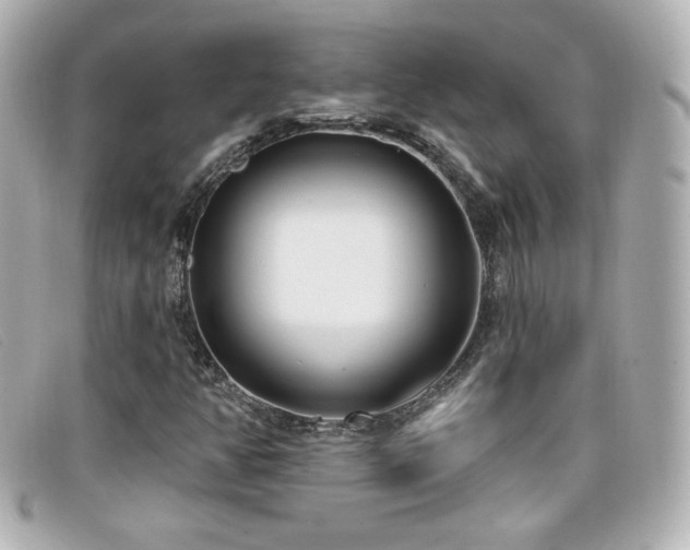 X0000099441350200805091303