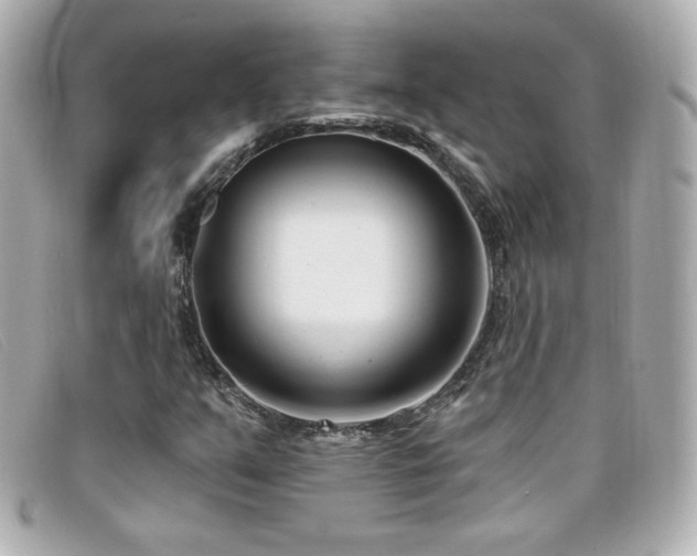 X0000099441351200805091303