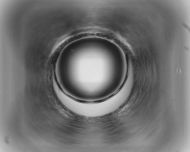 X0000099441352200805091303