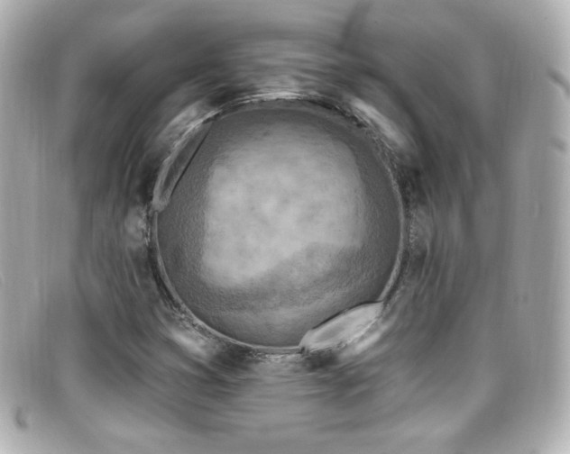 X0000099441353200805091303