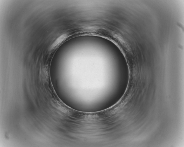 X0000099441354200805091303
