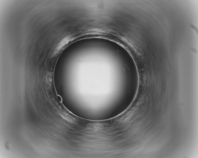 X0000099441355200805091303