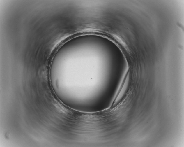 X0000099441356200805091303