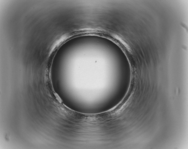 X0000099441357200805091303