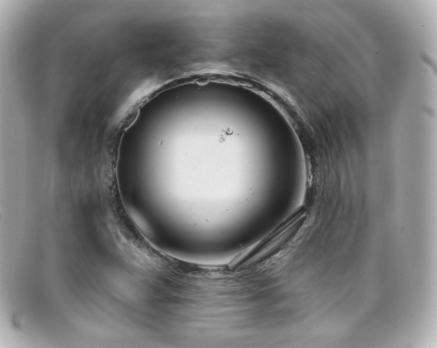X0000099441359200805091303