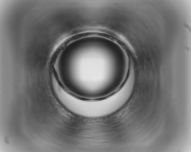 X0000099441360200805091303