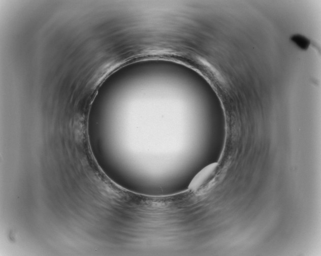 X0000099441361200805091303