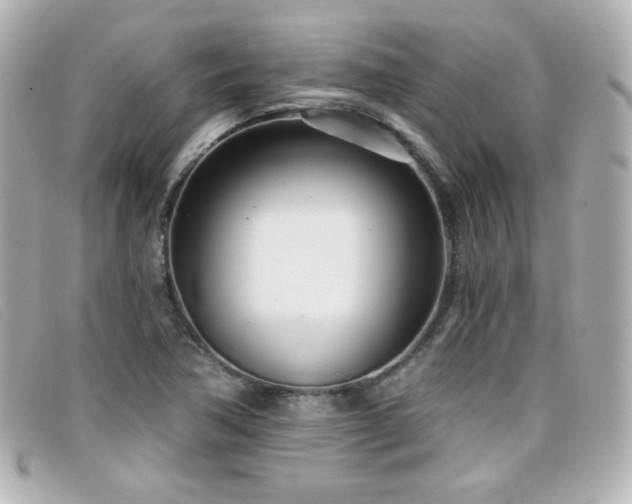 X0000099441362200805091303