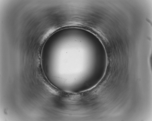 X0000099441363200805091303