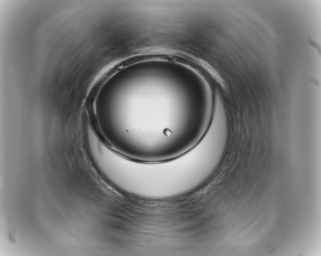 X0000099441364200805091303