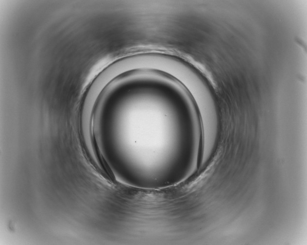 X0000099441365200805091303