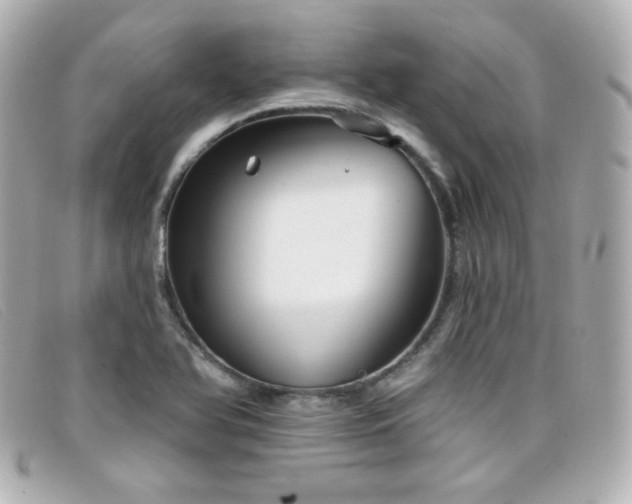 X0000099441366200805091303