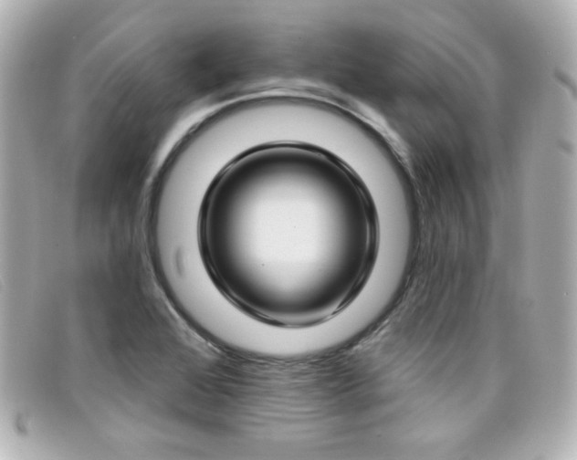 X0000099441368200805091303