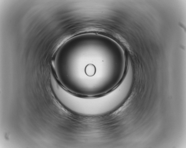 X0000099441369200805091303
