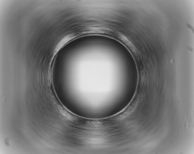 X0000099441370200805091303